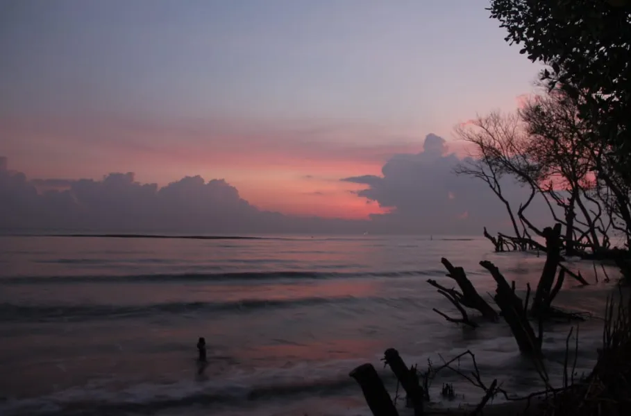 Pantai Muara Beting, Mutiara Tersembunyi di Bekasi