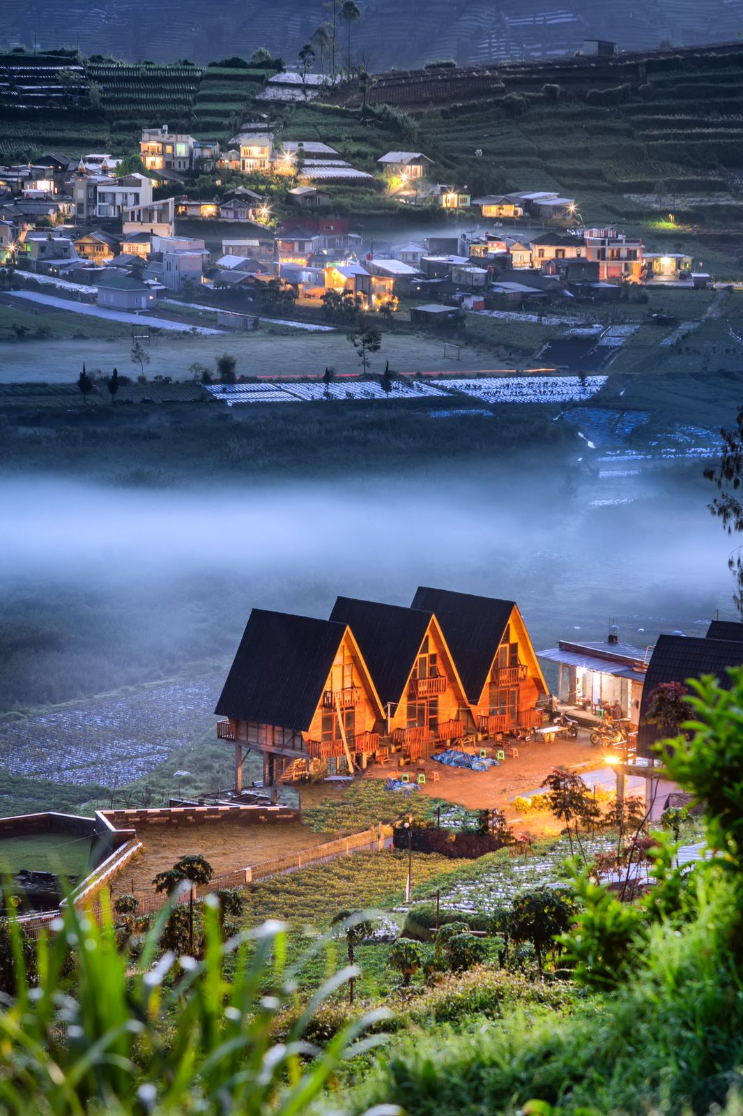 Host Cabin Dieng, Cabin di 
