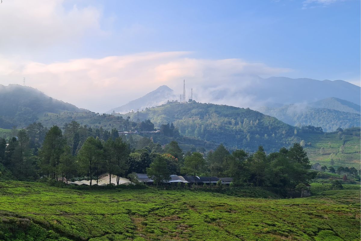 Wisata Tur Trekking Sentul